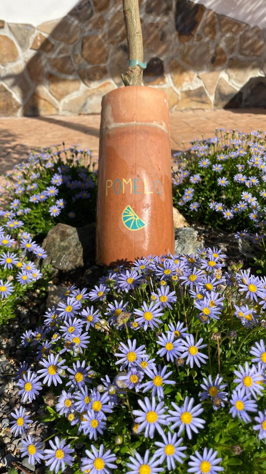 Finca Valle Verde Alora Εξωτερικό φωτογραφία