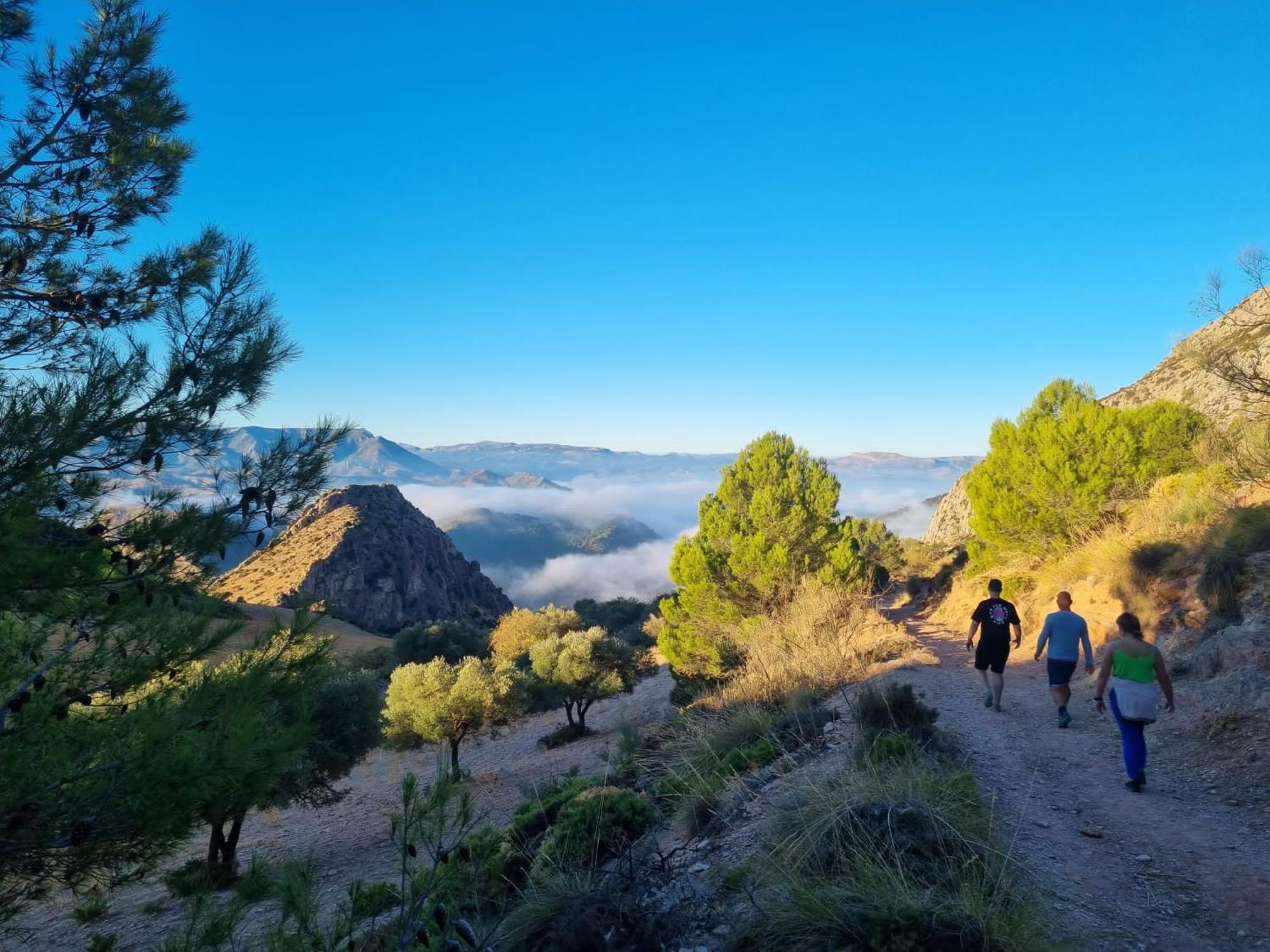 Finca Valle Verde Alora Εξωτερικό φωτογραφία