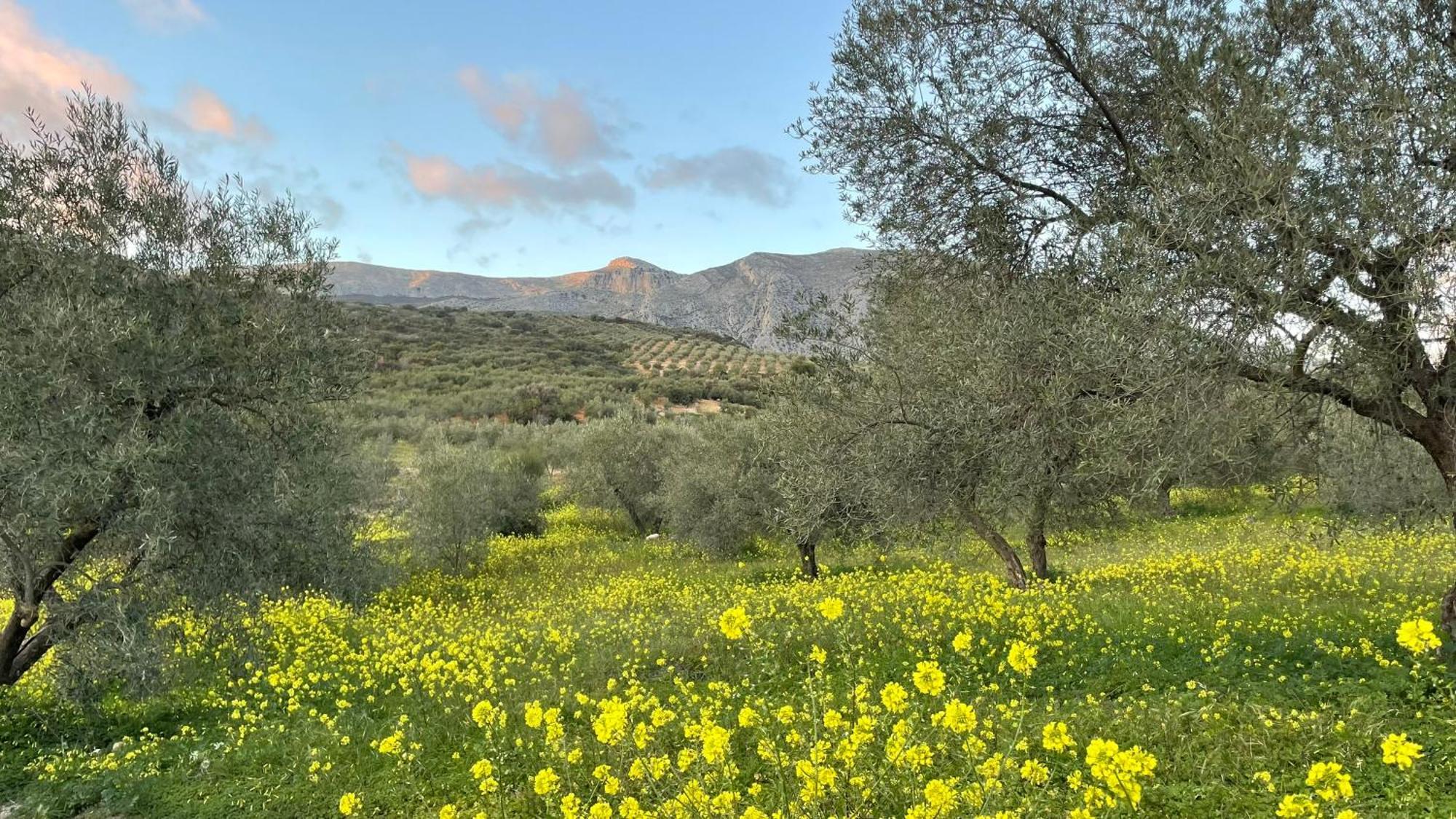 Finca Valle Verde Alora Εξωτερικό φωτογραφία