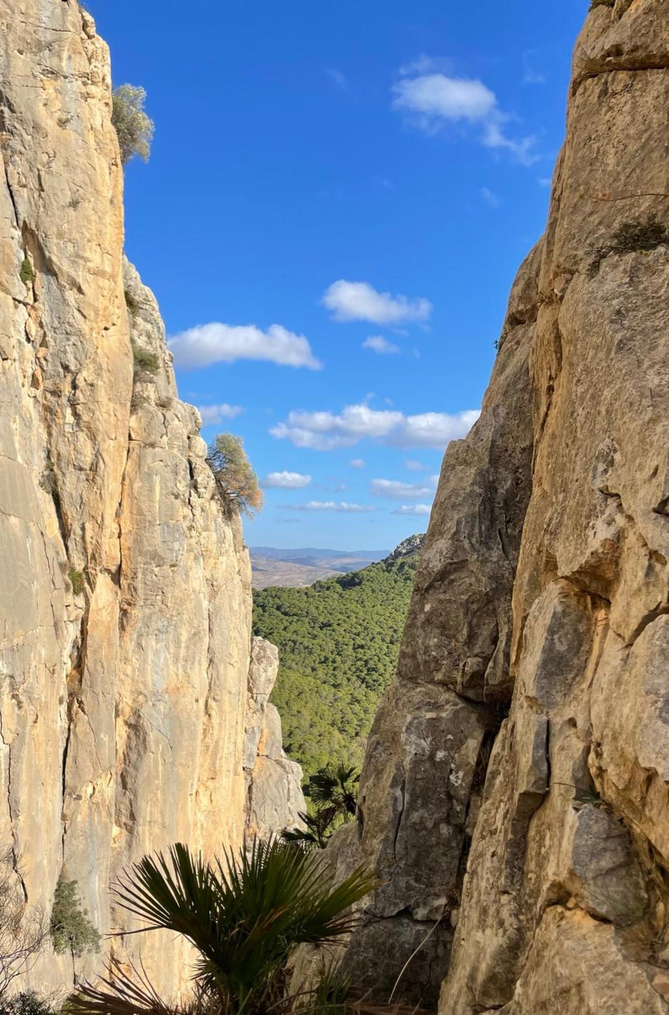 Finca Valle Verde Alora Εξωτερικό φωτογραφία