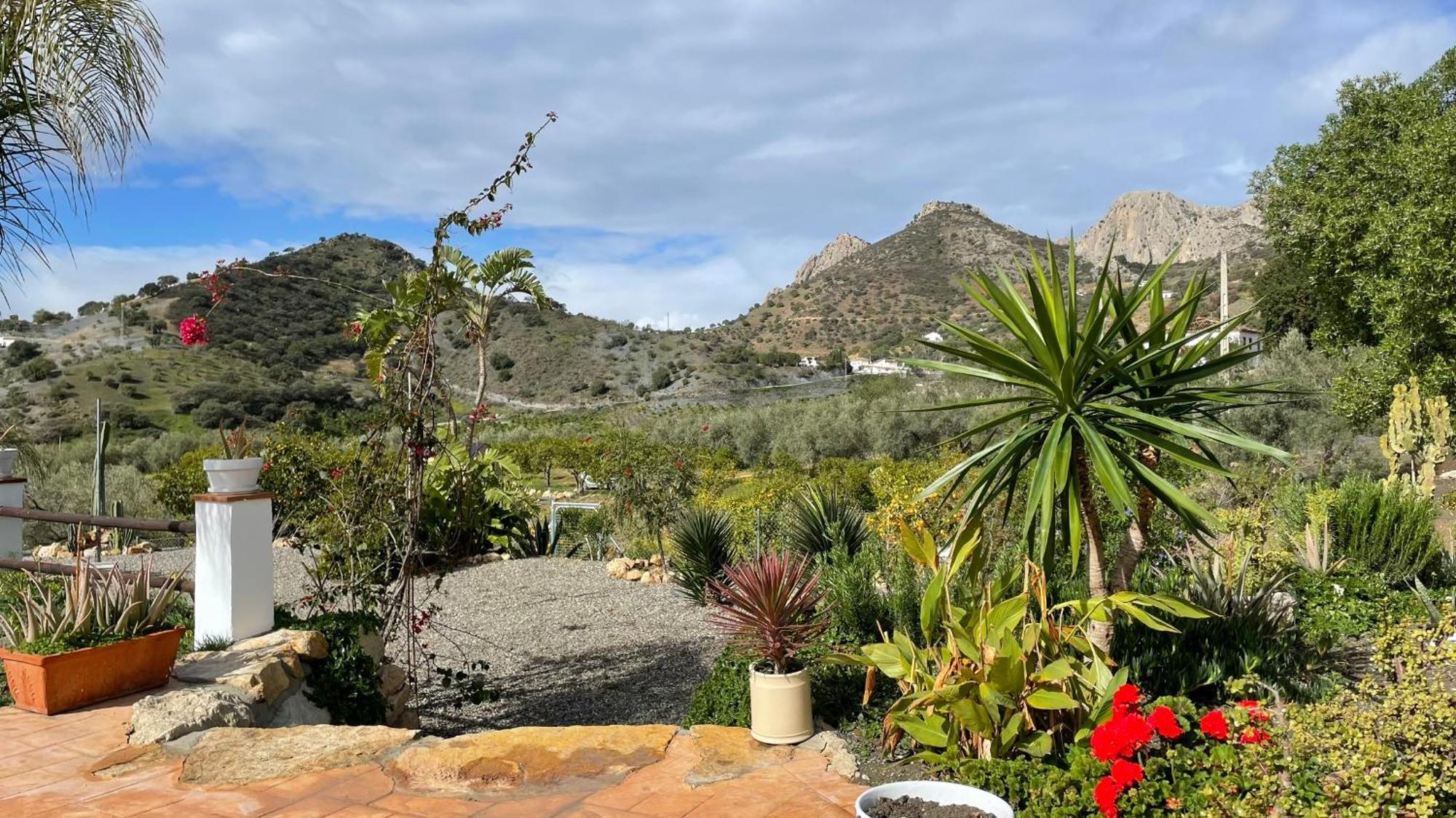 Finca Valle Verde Alora Εξωτερικό φωτογραφία