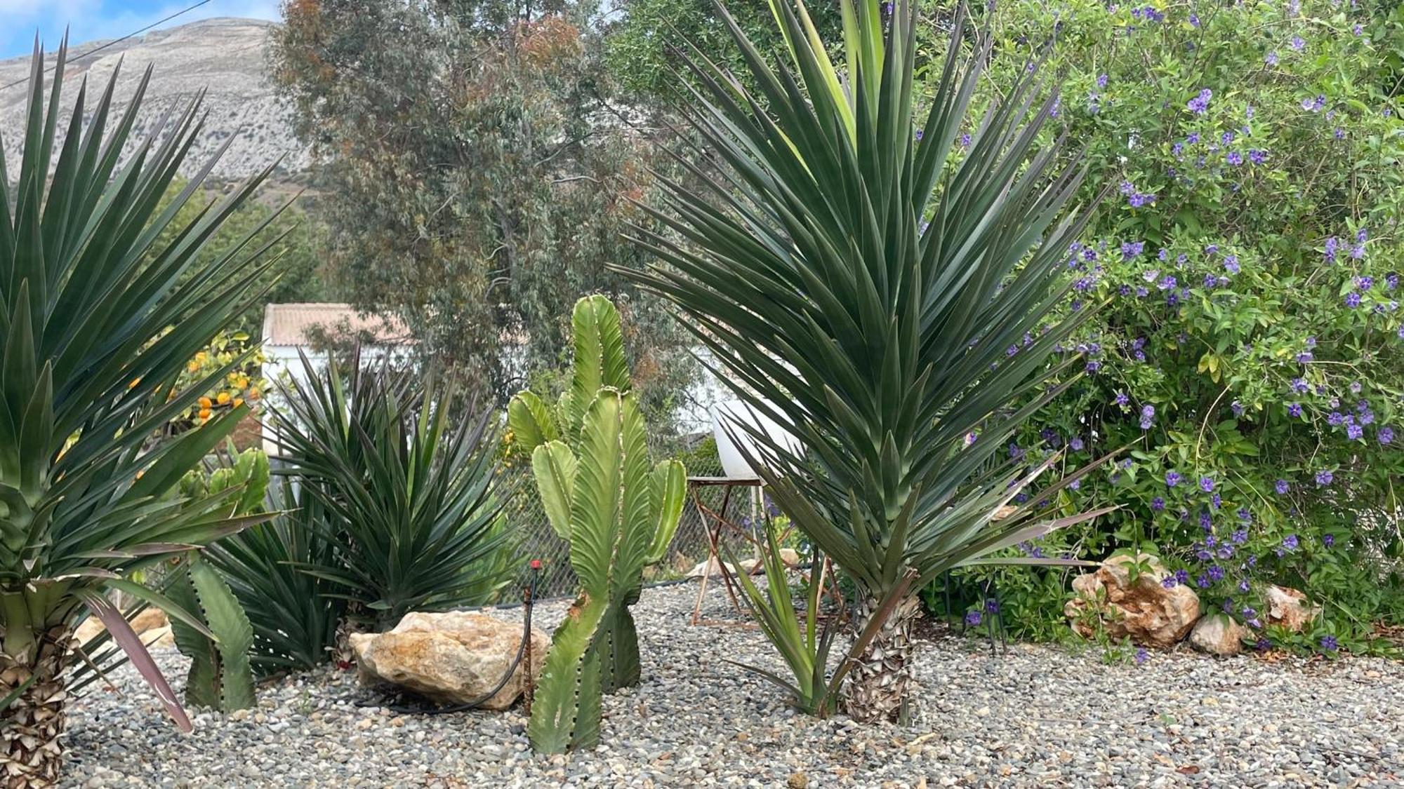 Finca Valle Verde Alora Εξωτερικό φωτογραφία