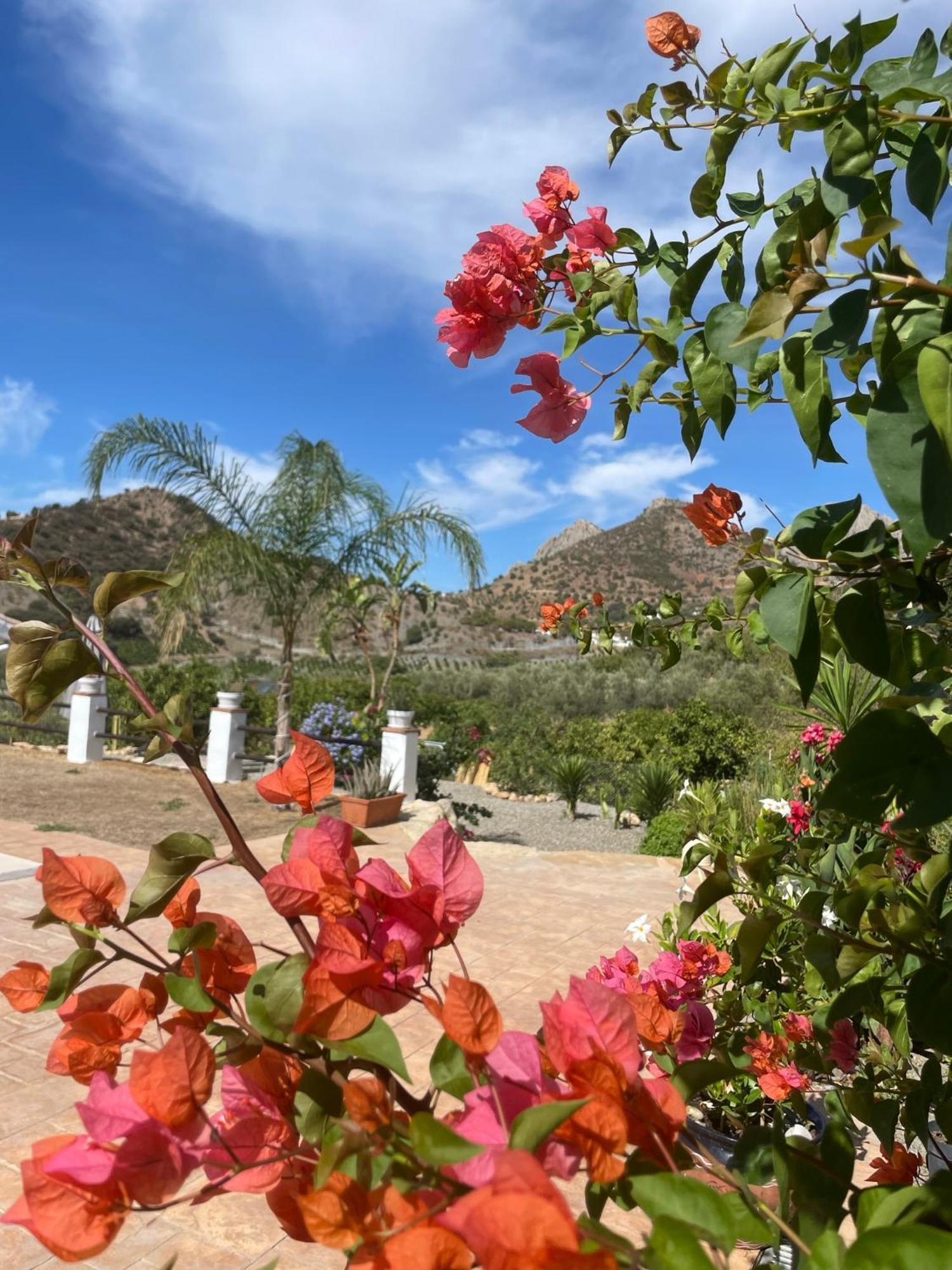 Finca Valle Verde Alora Εξωτερικό φωτογραφία