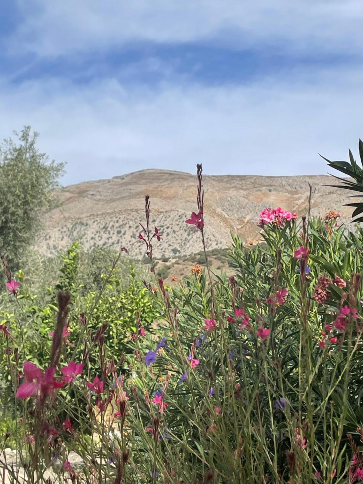 Finca Valle Verde Alora Εξωτερικό φωτογραφία