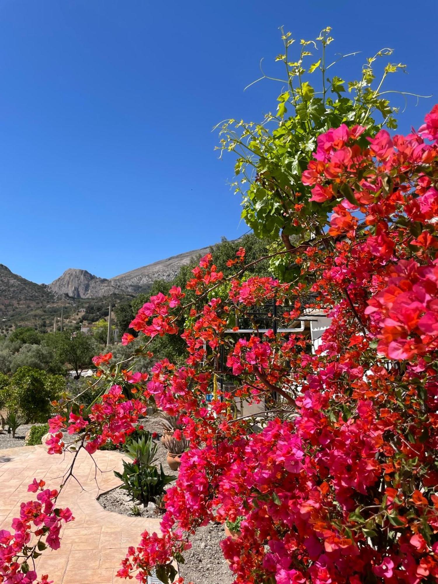 Finca Valle Verde Alora Εξωτερικό φωτογραφία