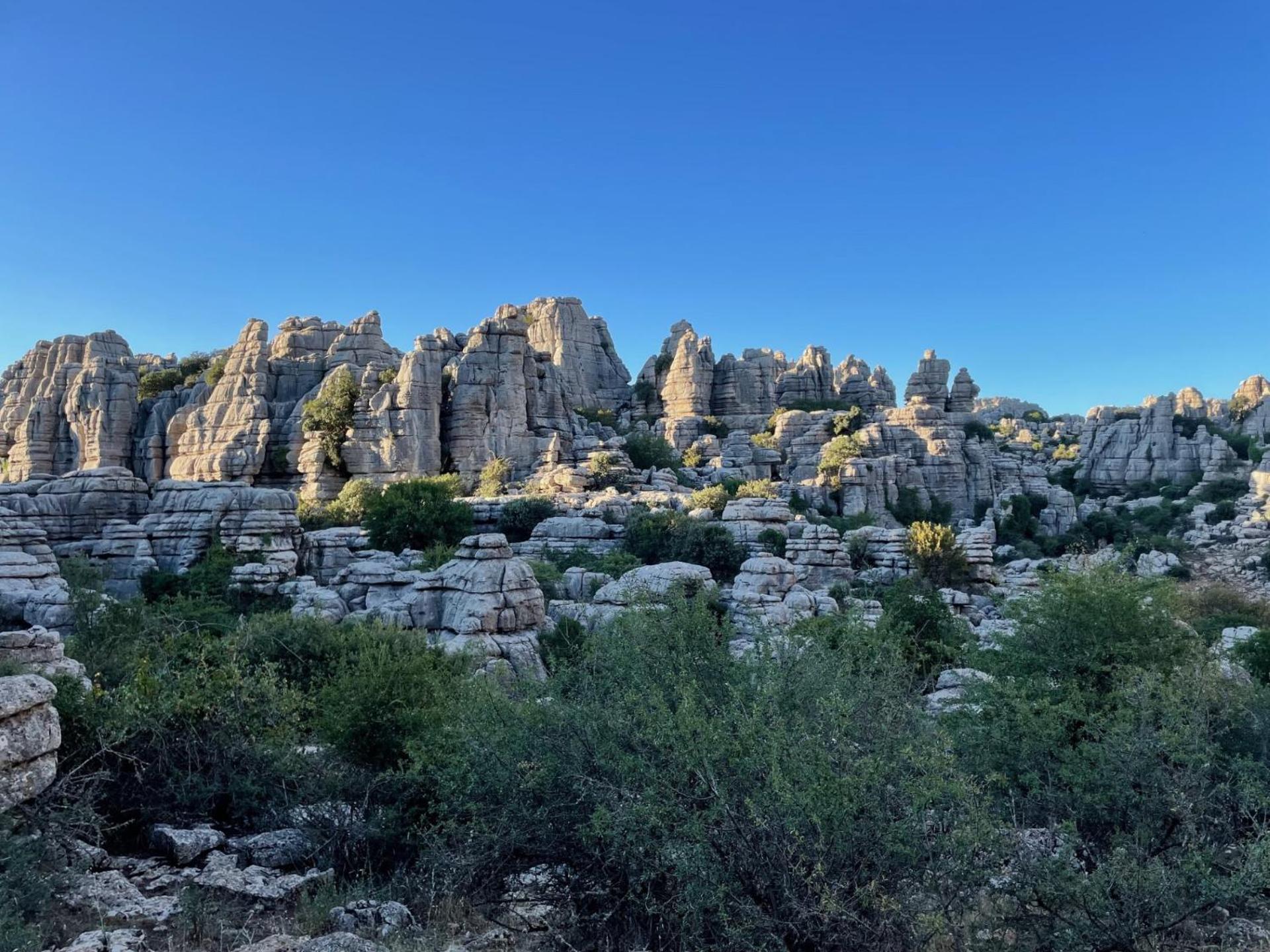 Finca Valle Verde Alora Εξωτερικό φωτογραφία