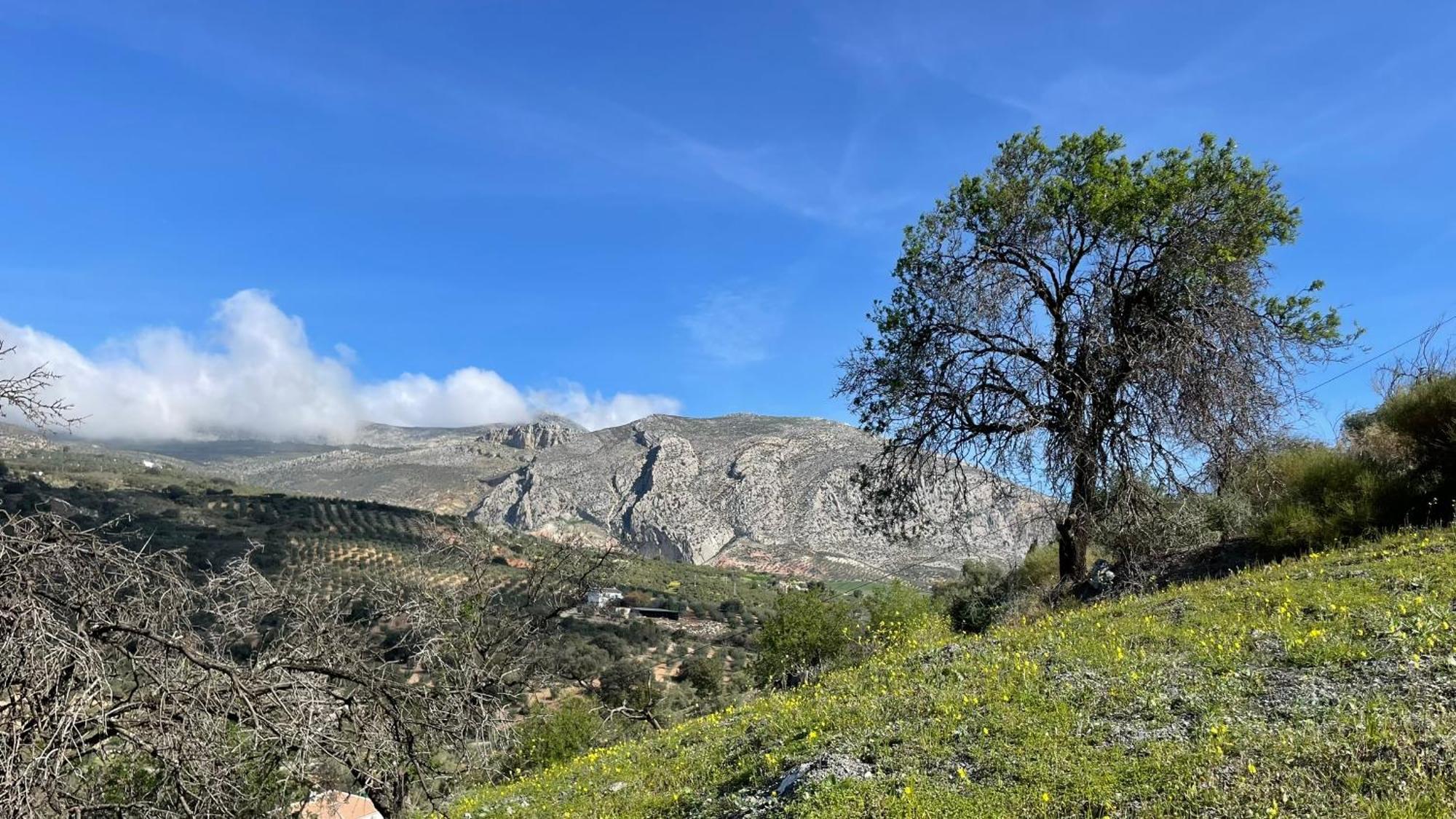 Finca Valle Verde Alora Εξωτερικό φωτογραφία