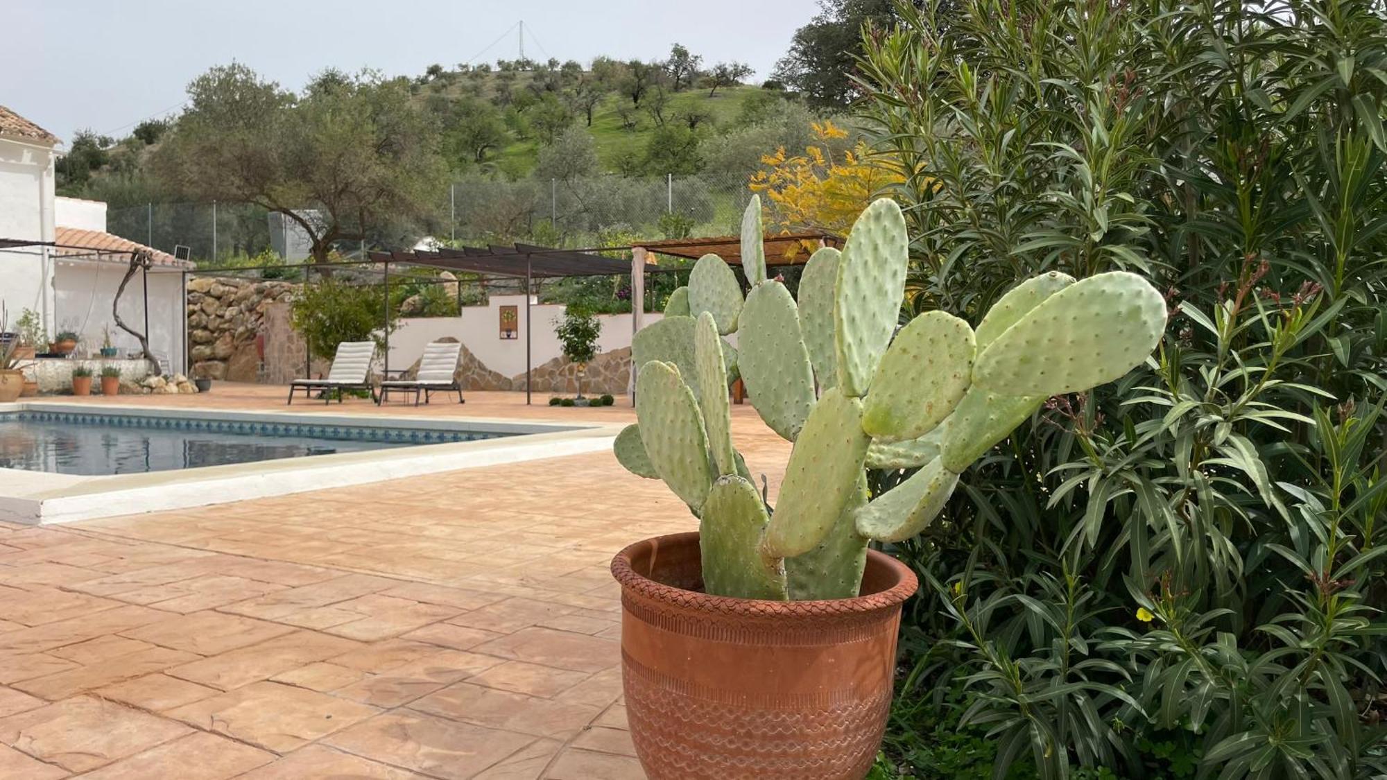 Finca Valle Verde Alora Εξωτερικό φωτογραφία