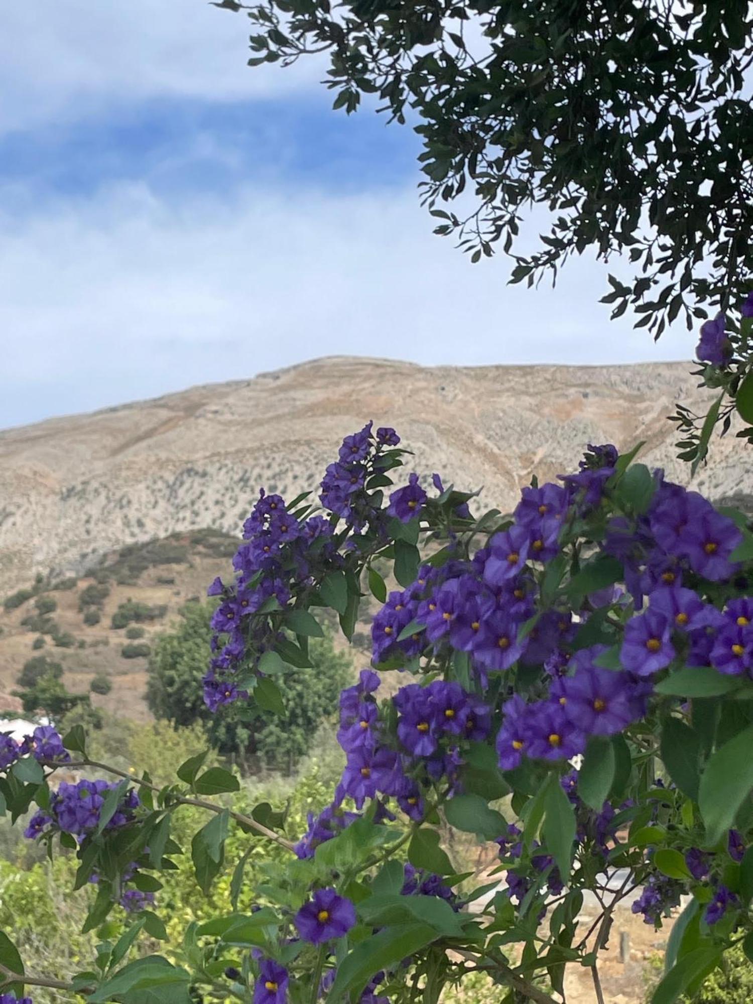 Finca Valle Verde Alora Εξωτερικό φωτογραφία