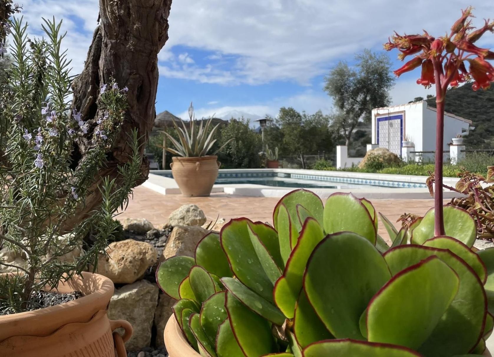 Finca Valle Verde Alora Εξωτερικό φωτογραφία