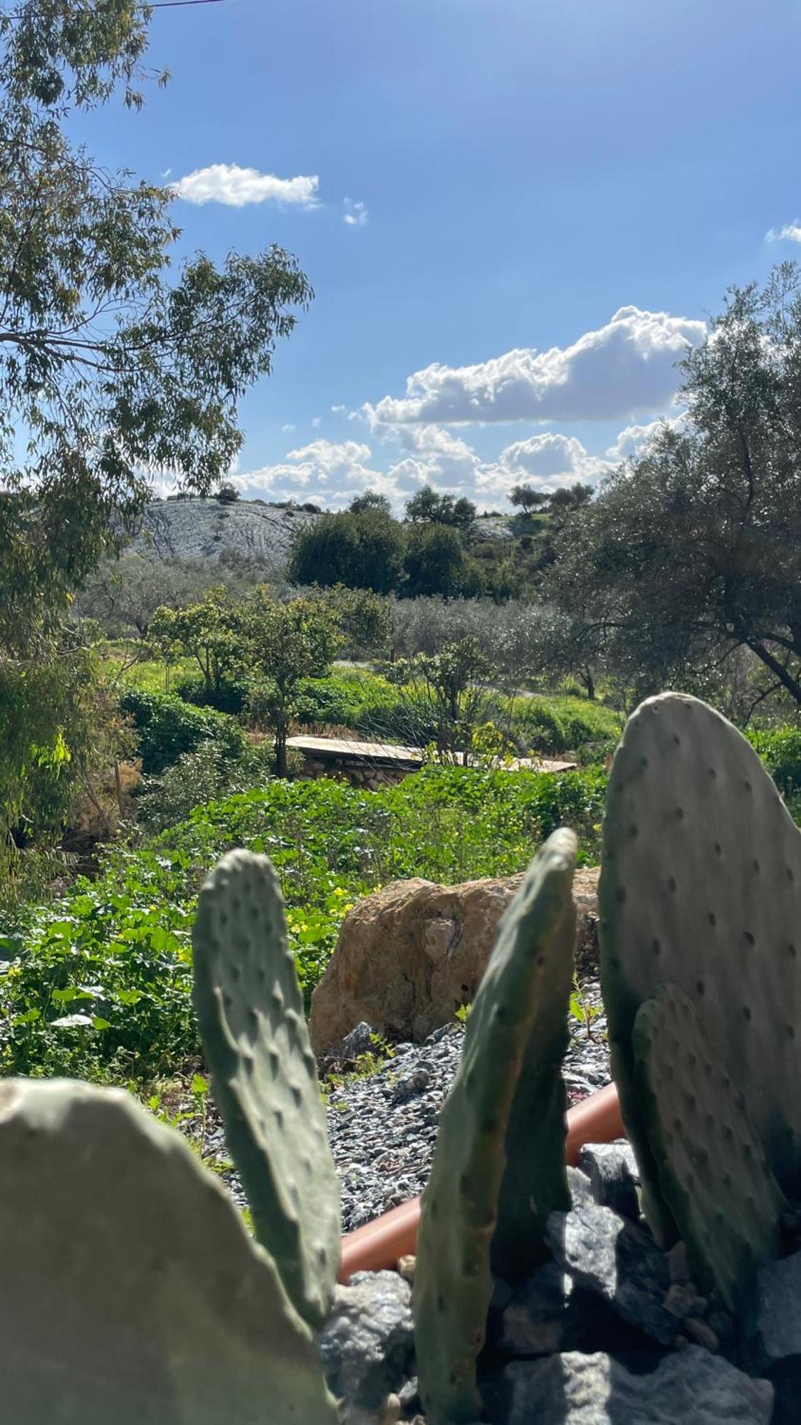 Finca Valle Verde Alora Εξωτερικό φωτογραφία